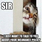 Pet Insurance Cost